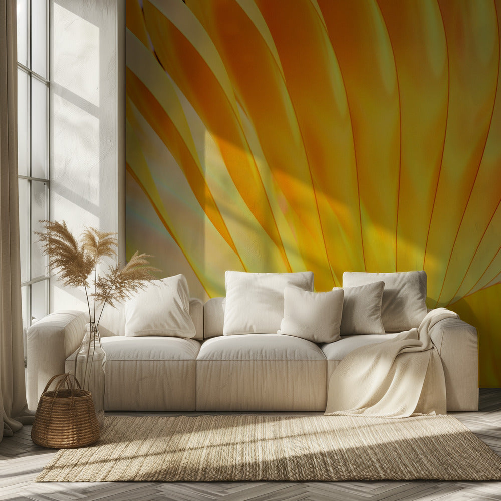 Golden Spirals | Wallpaper