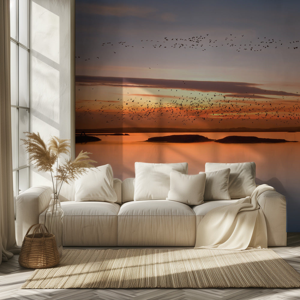 by sunset | Wallpaper