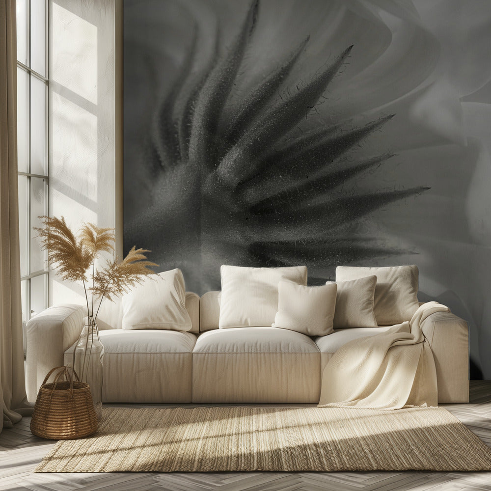 Calendula | Wallpaper