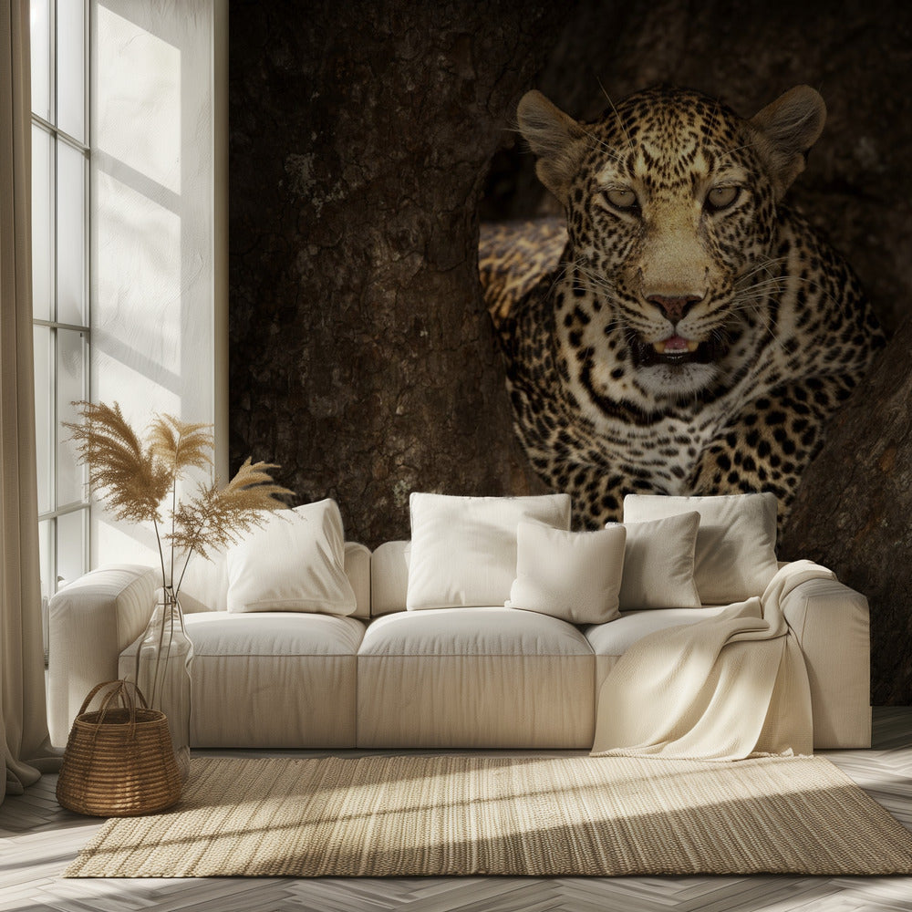 Leopard Resting on a Tree at Masai Mara | Wallpaper