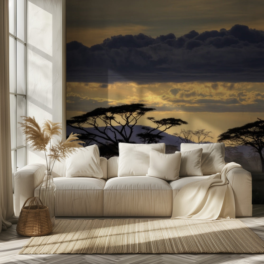 Good evening tanazania | Wallpaper