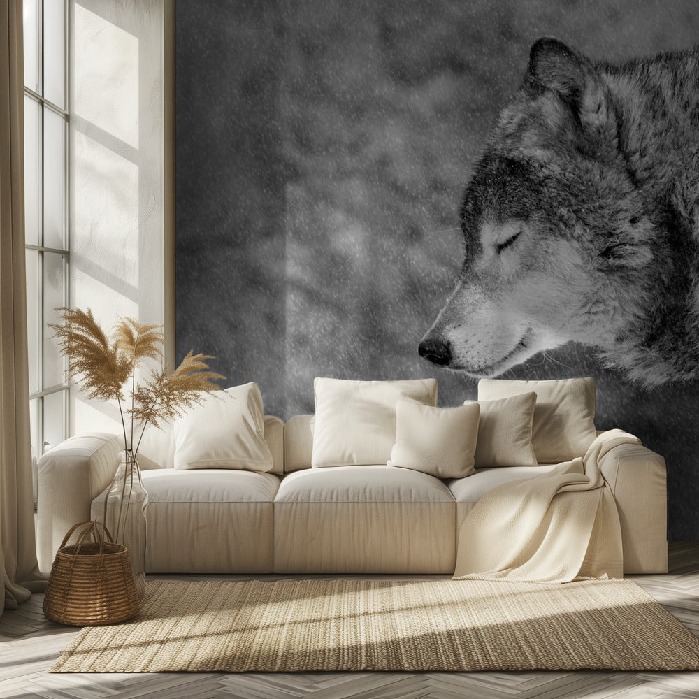 Let it snow | Wallpaper