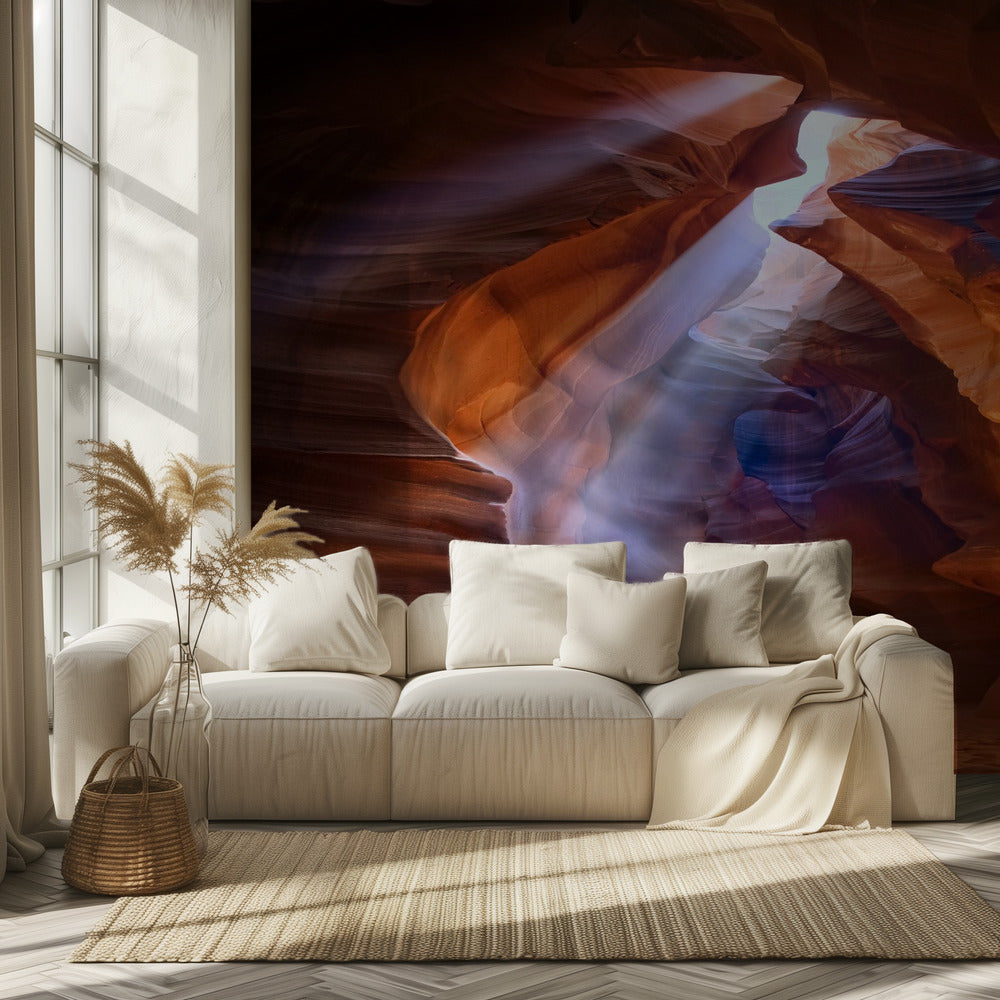 Pure Photodelight  2 | Wallpaper