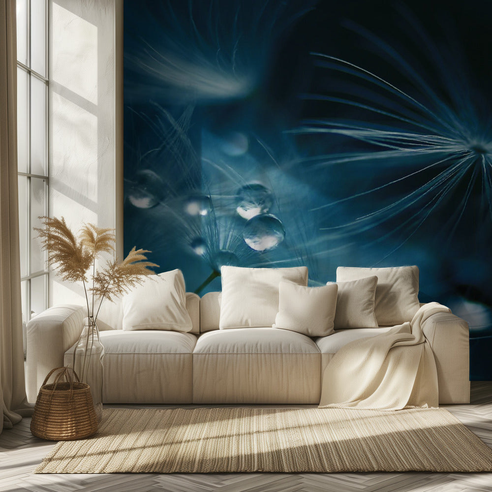 soft touch | Wallpaper