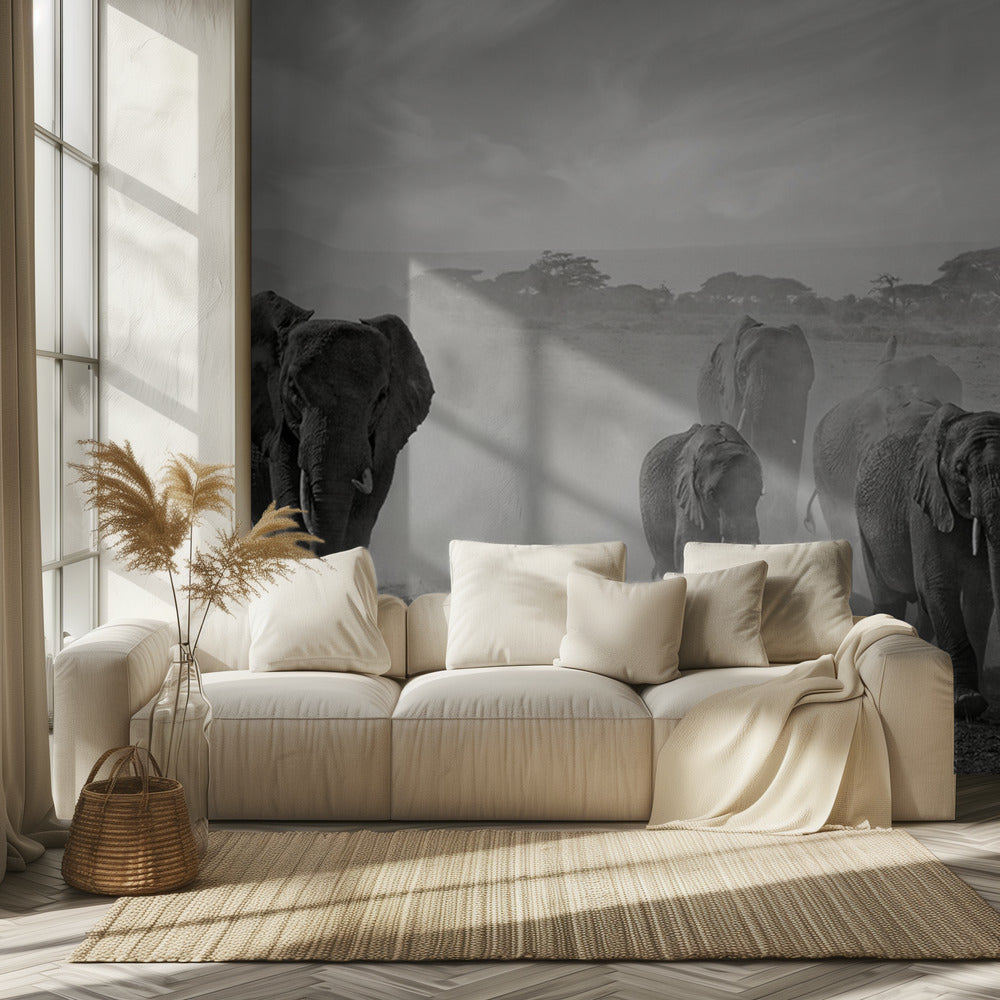 Sequence of emotion | Wallpaper