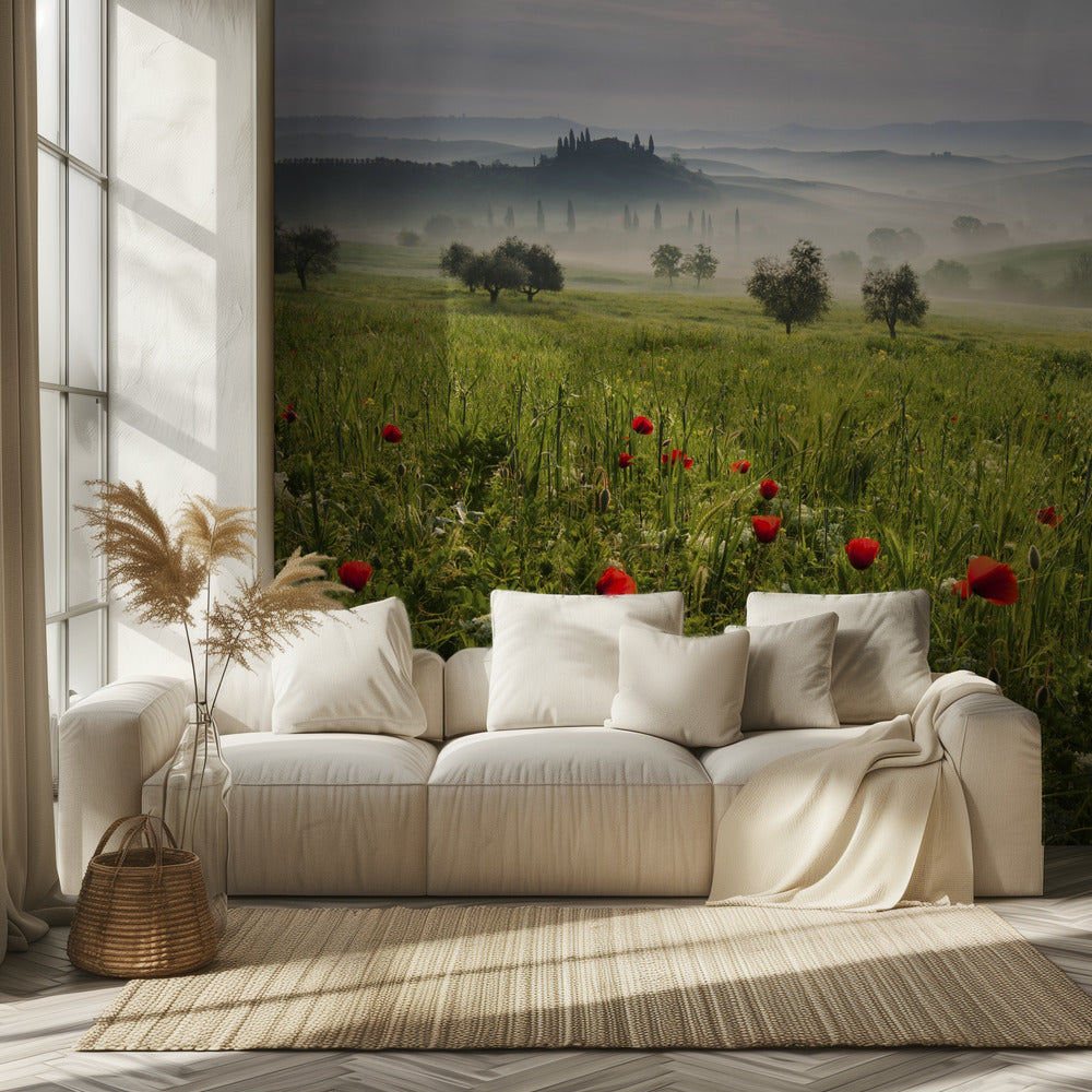 Tuscan spring | Wallpaper