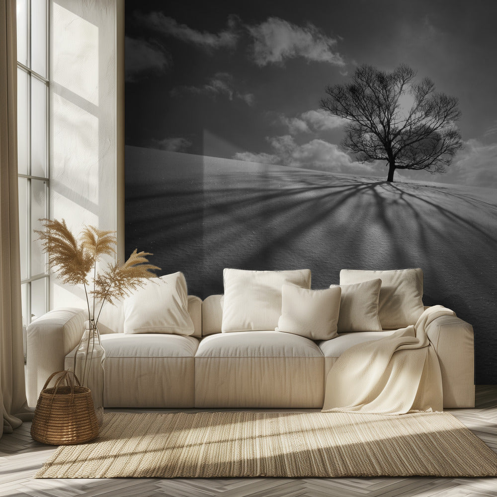 Tree Shadow | Wallpaper