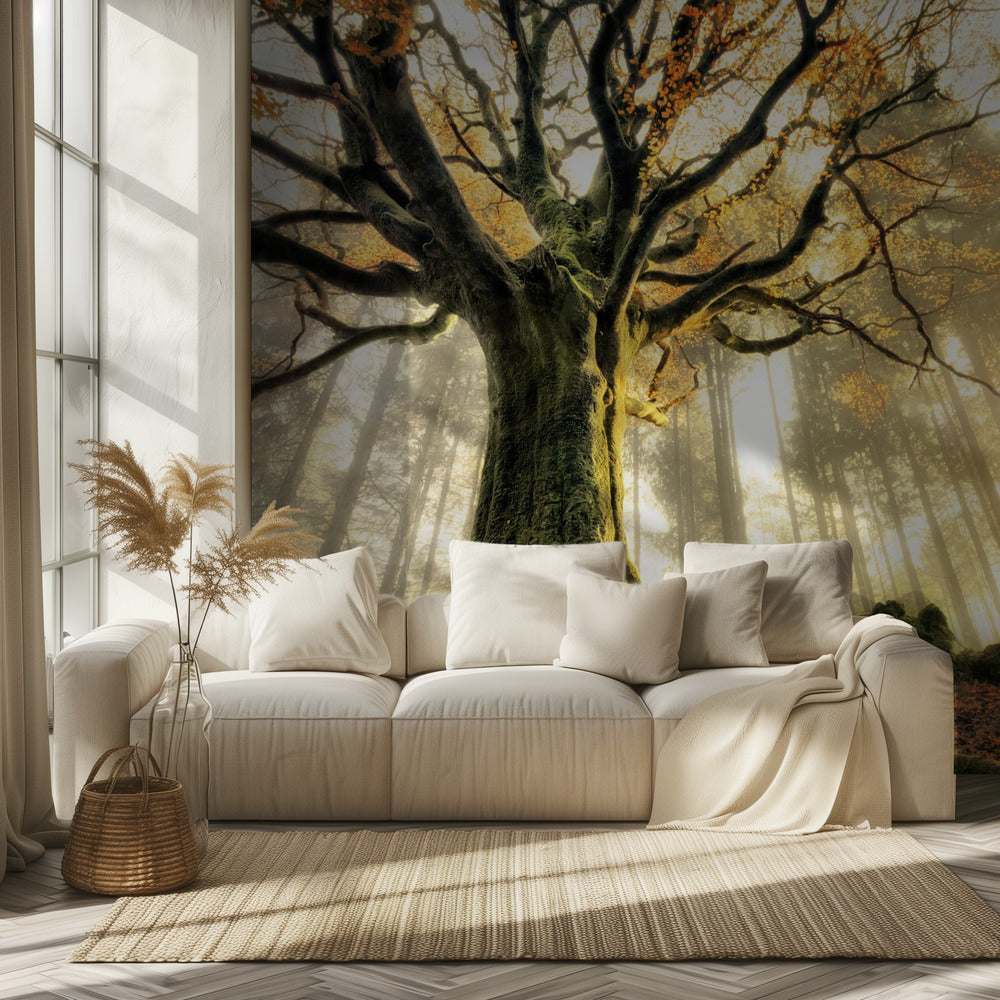 November | Wallpaper