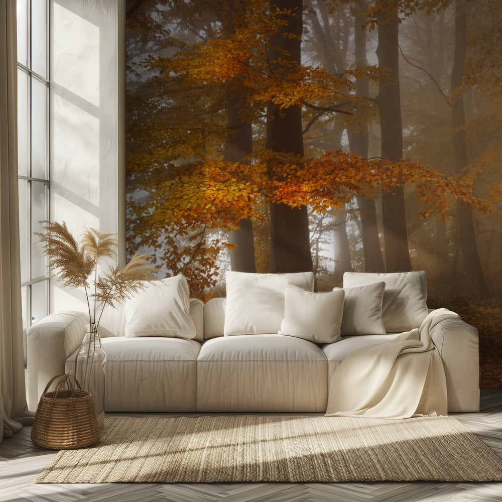 Edge of the woods | Wallpaper