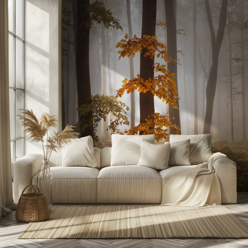 In November Light | Wallpaper