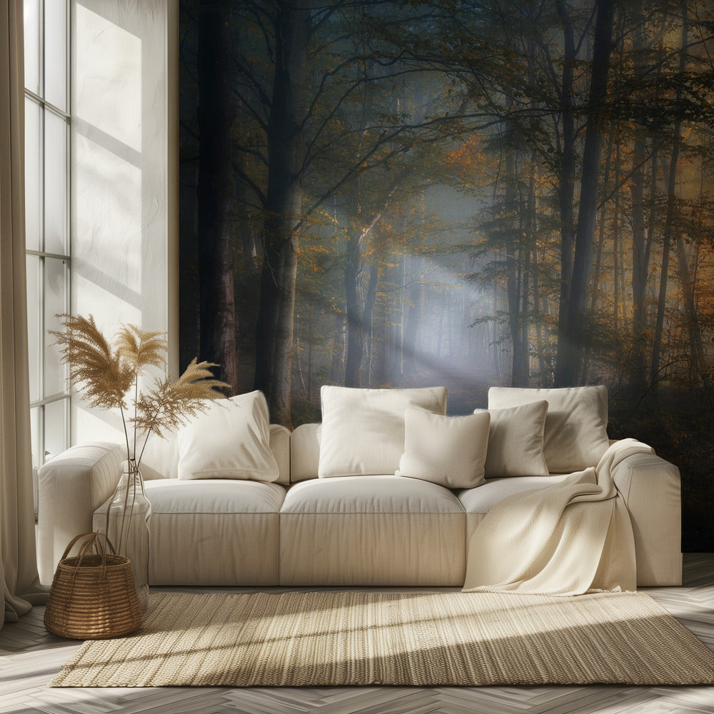 autumn symphony | Wallpaper