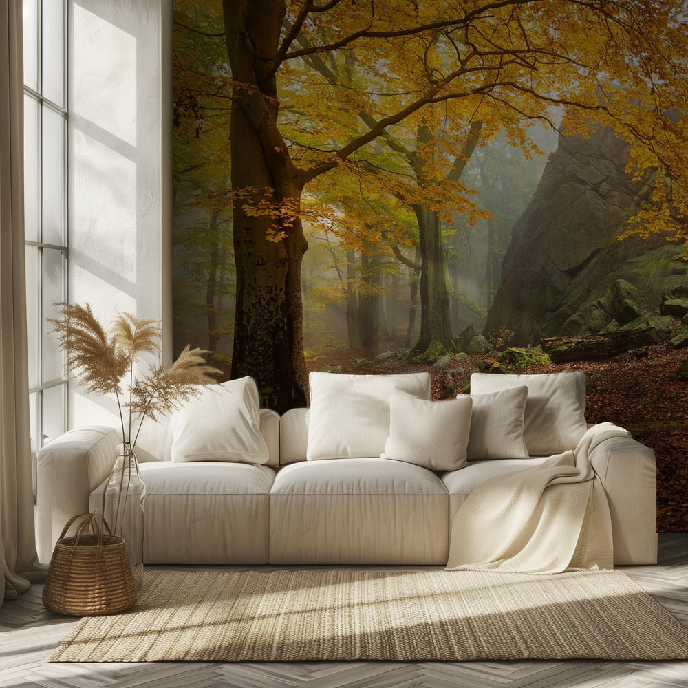 Autumn forest | Wallpaper