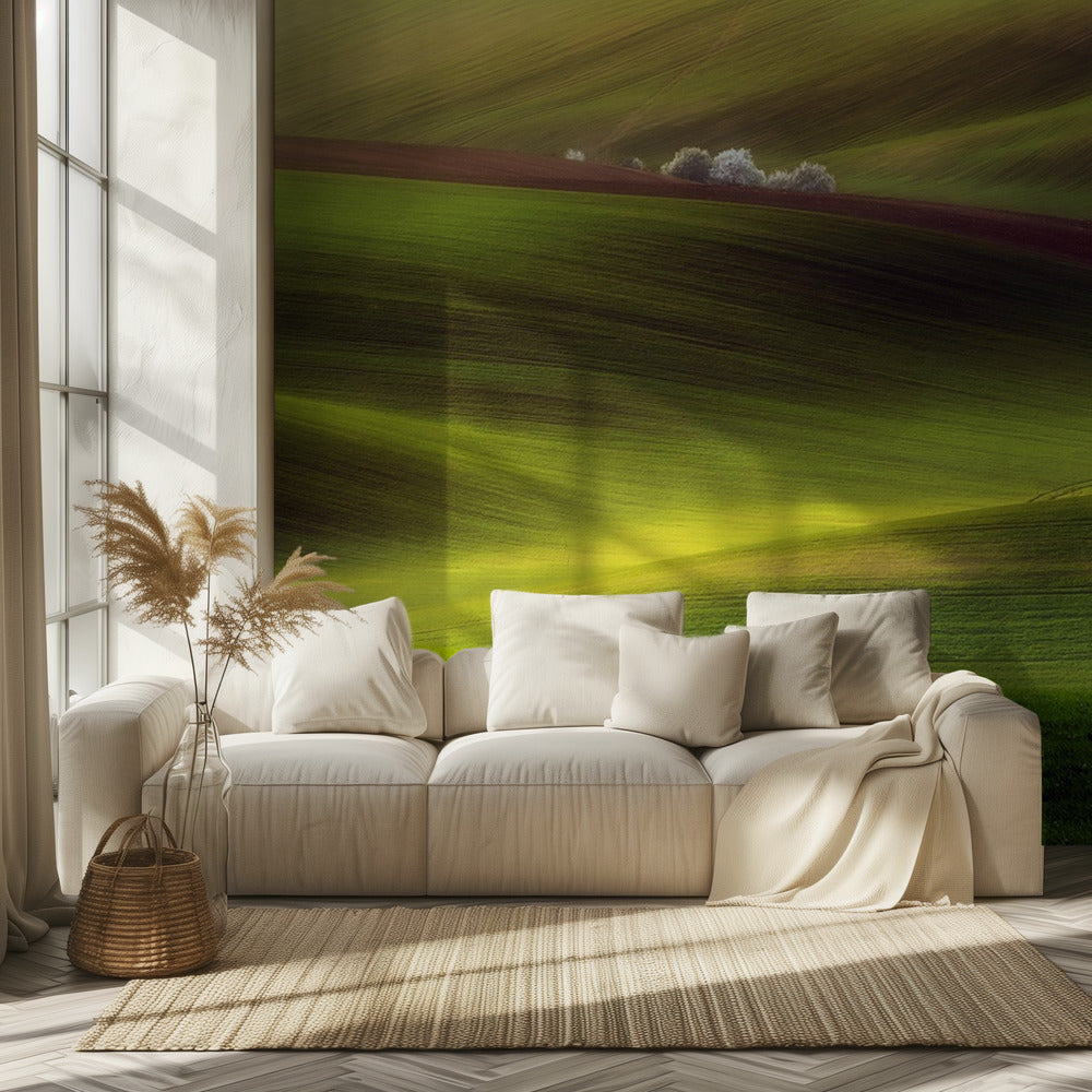 Golden fields | Wallpaper