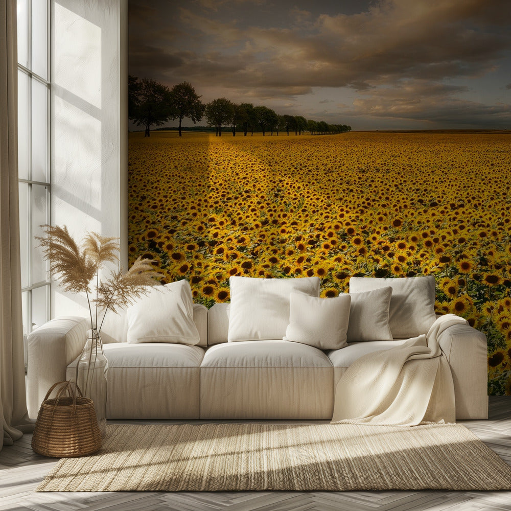 Sunflowers | Wallpaper