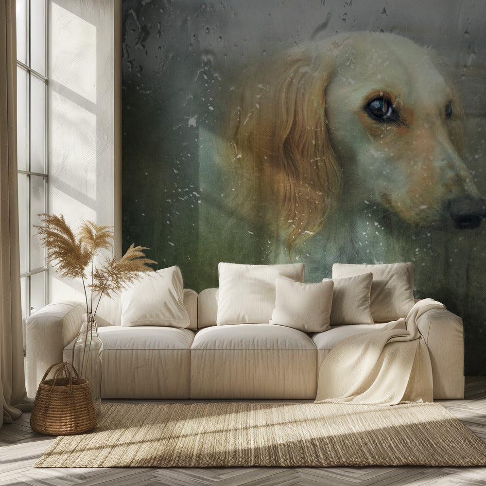 That autumn... | Wallpaper