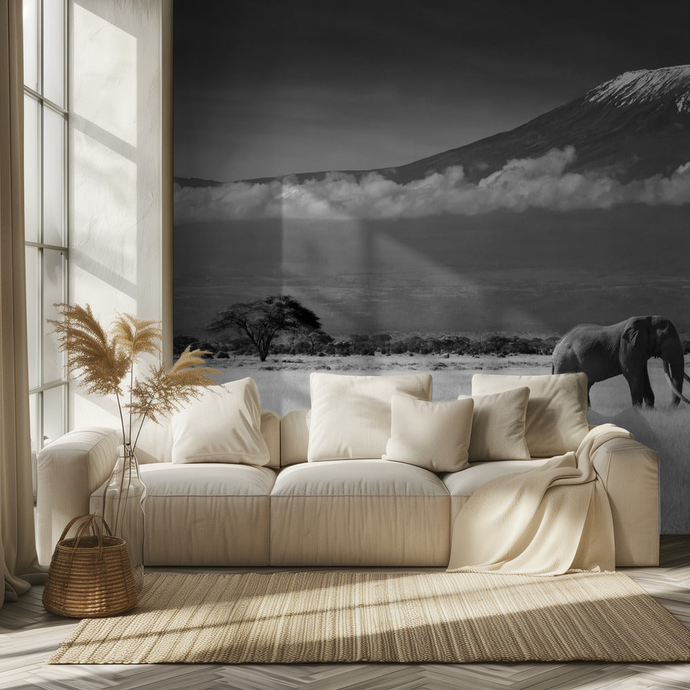 Lost Colors II | Wallpaper