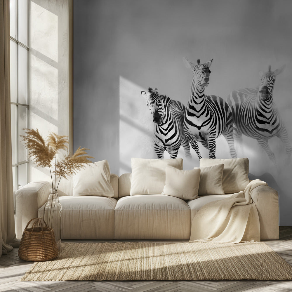 ZEBRAS | Wallpaper