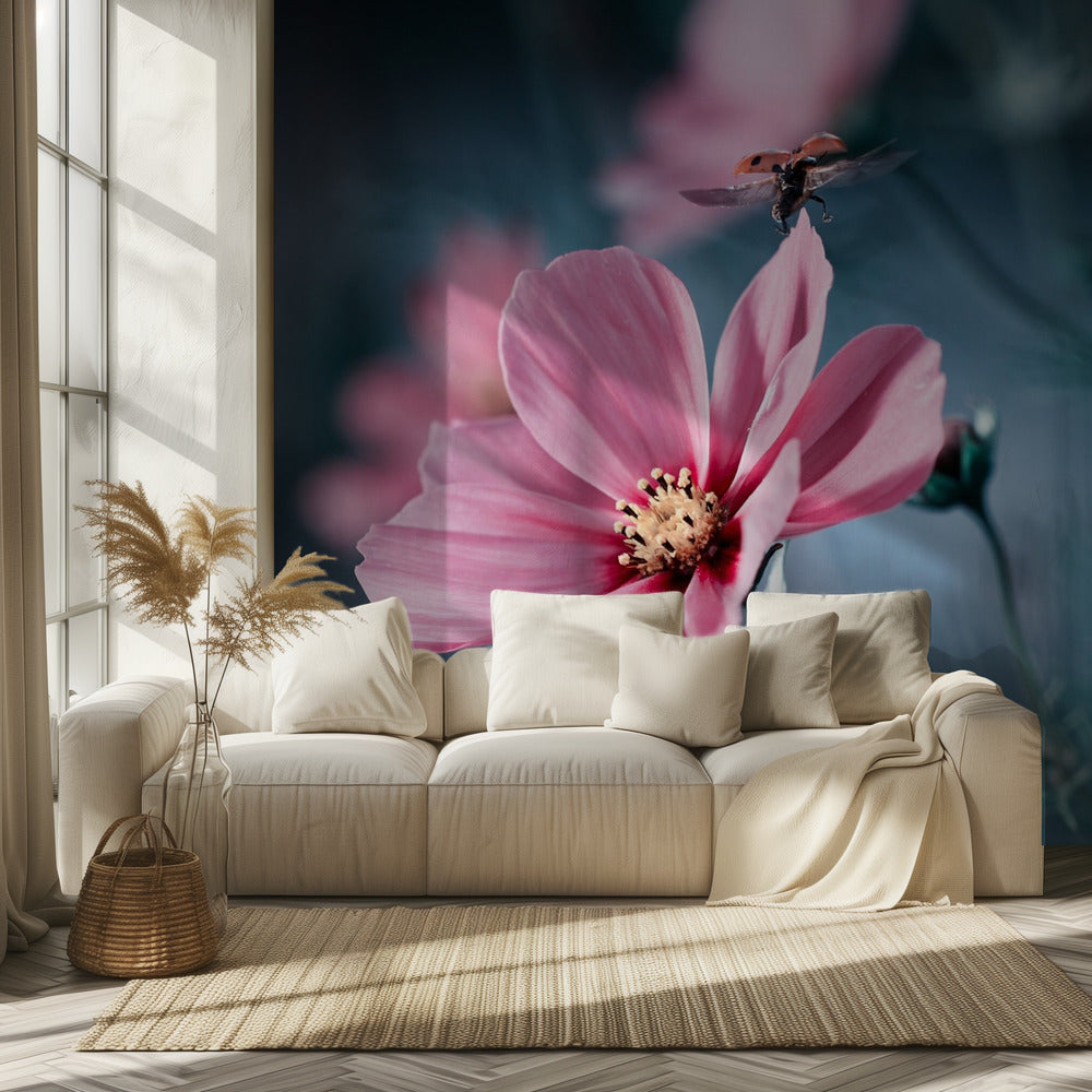 Clair de Terre | Wallpaper