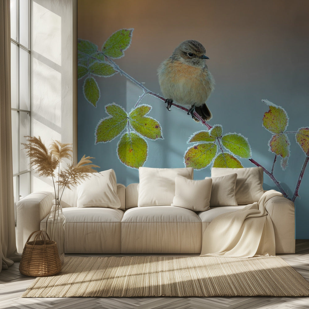 Winter colors | Wallpaper