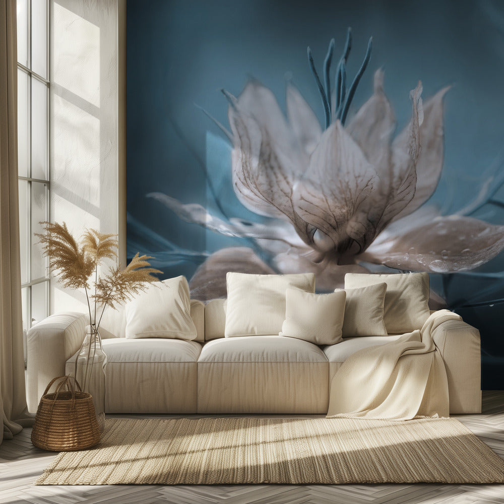 *Nigella* | Wallpaper