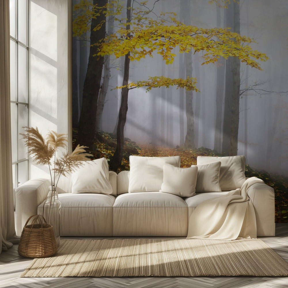 Untitled | Wallpaper