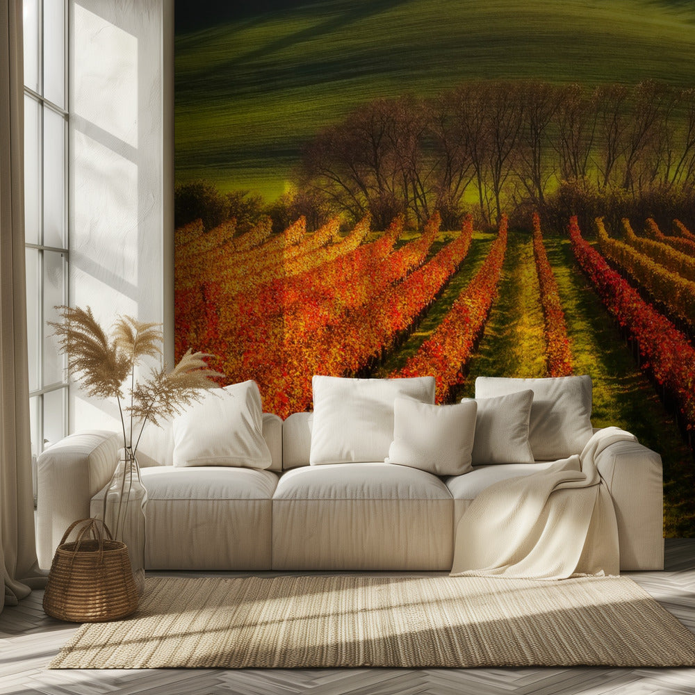 vine-growing | Wallpaper