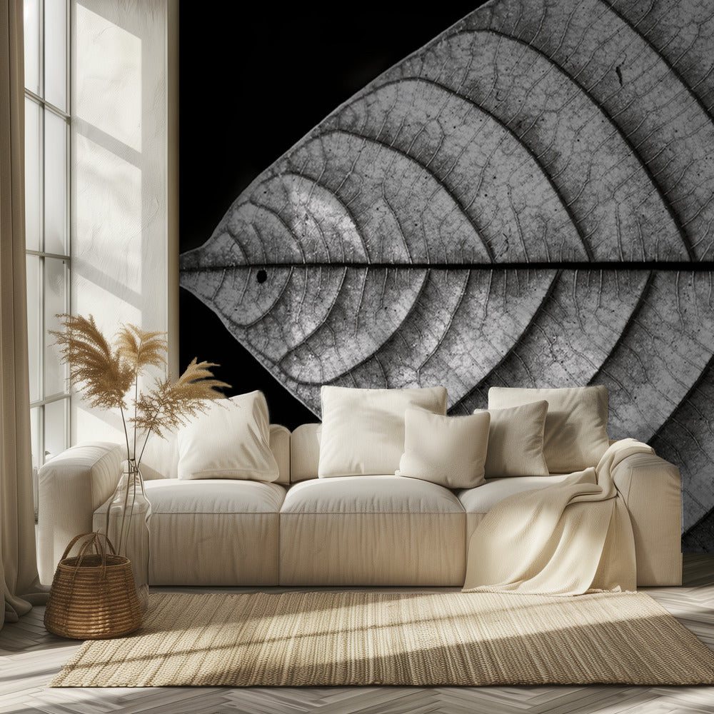 Dry Fish | Wallpaper