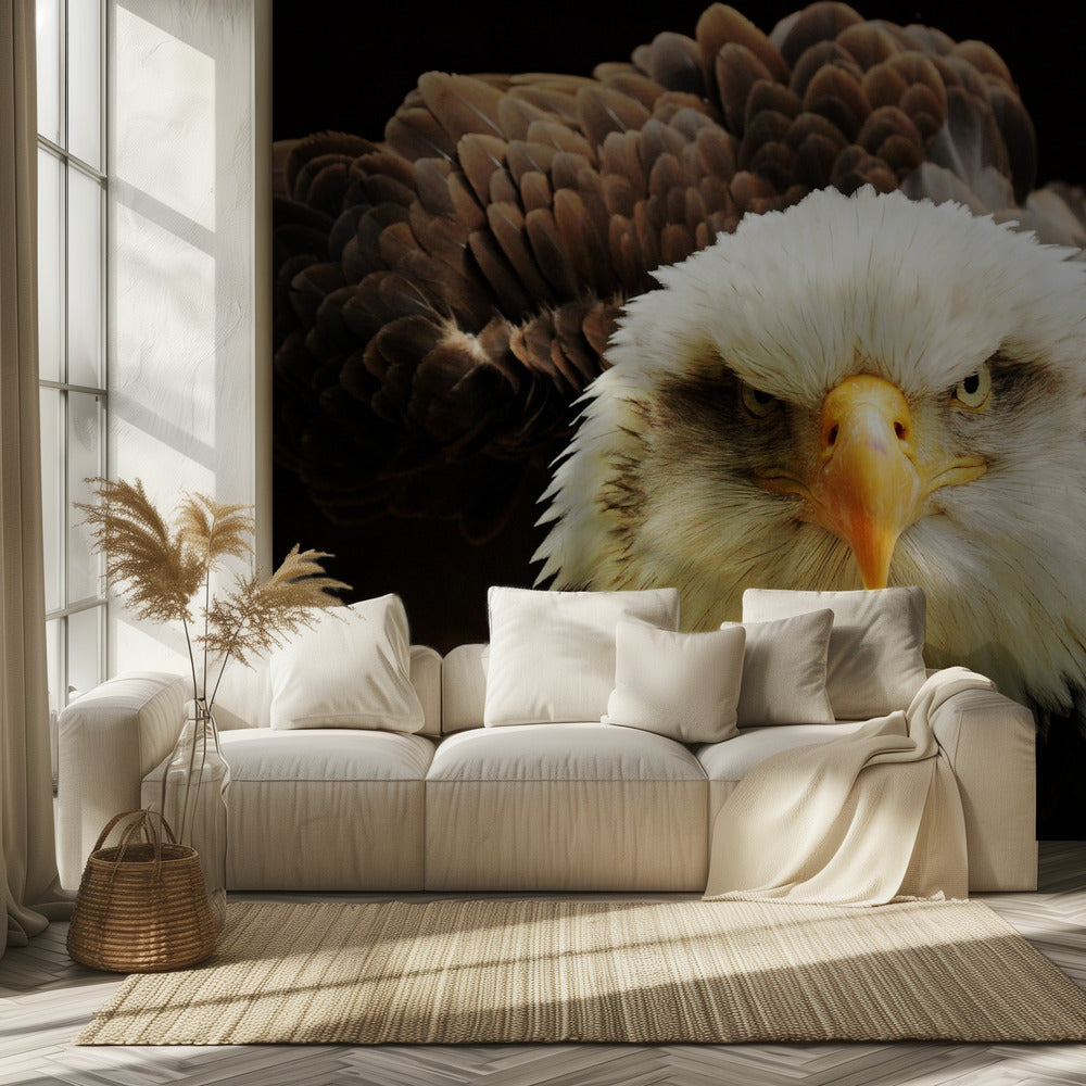 The Judge | Wallpaper