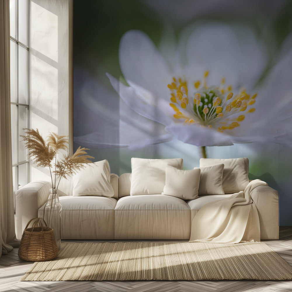 Nemorosa Nirvana | Wallpaper