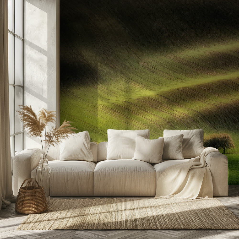 Moravian Fields | Wallpaper