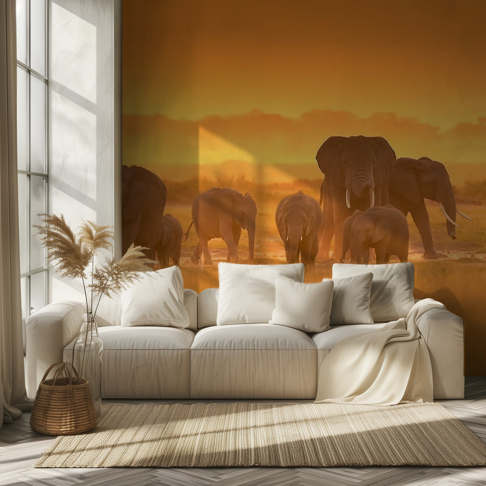 Golden Light | Wallpaper