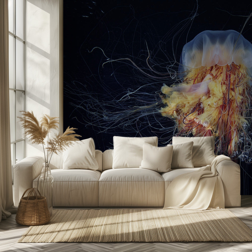 Giant Lion's Mane | Wallpaper