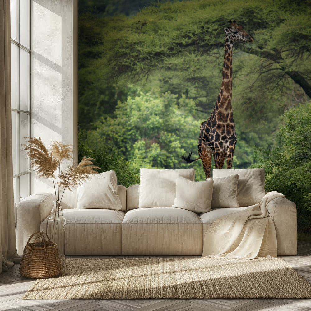 unexpected meeting | Wallpaper