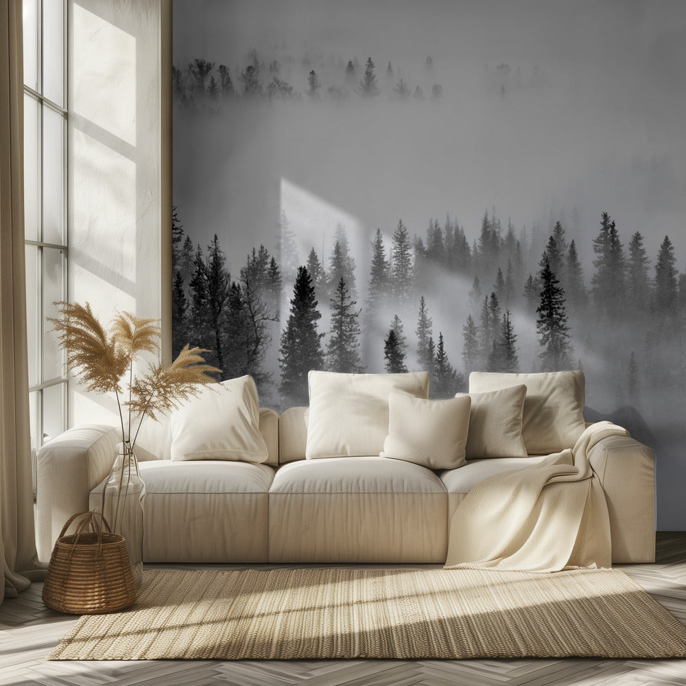 Foggy Forest | Wallpaper