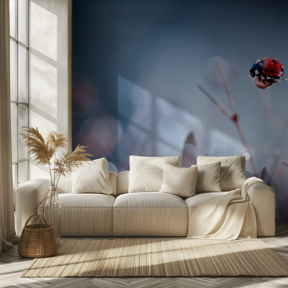 High Diving | Wallpaper