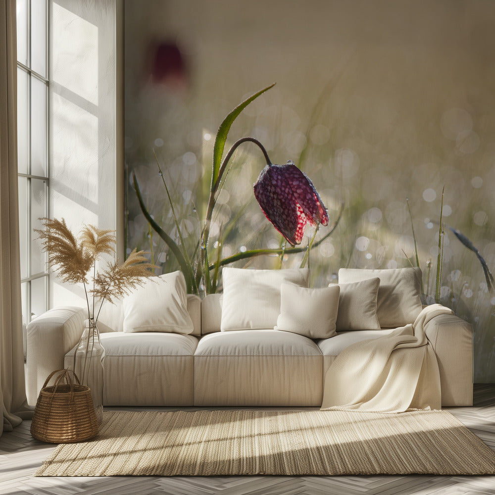 Morningdew | Wallpaper