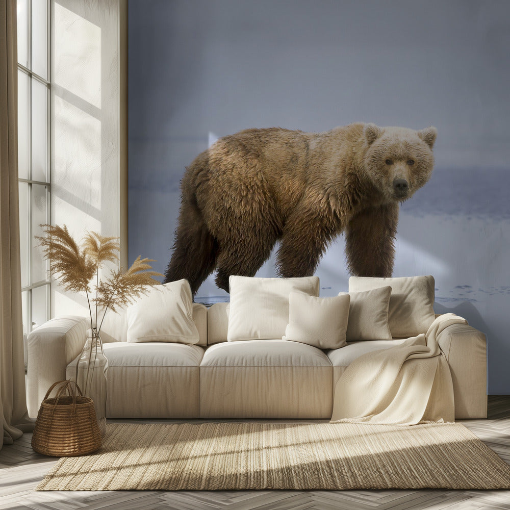 The Bear Walk | Wallpaper