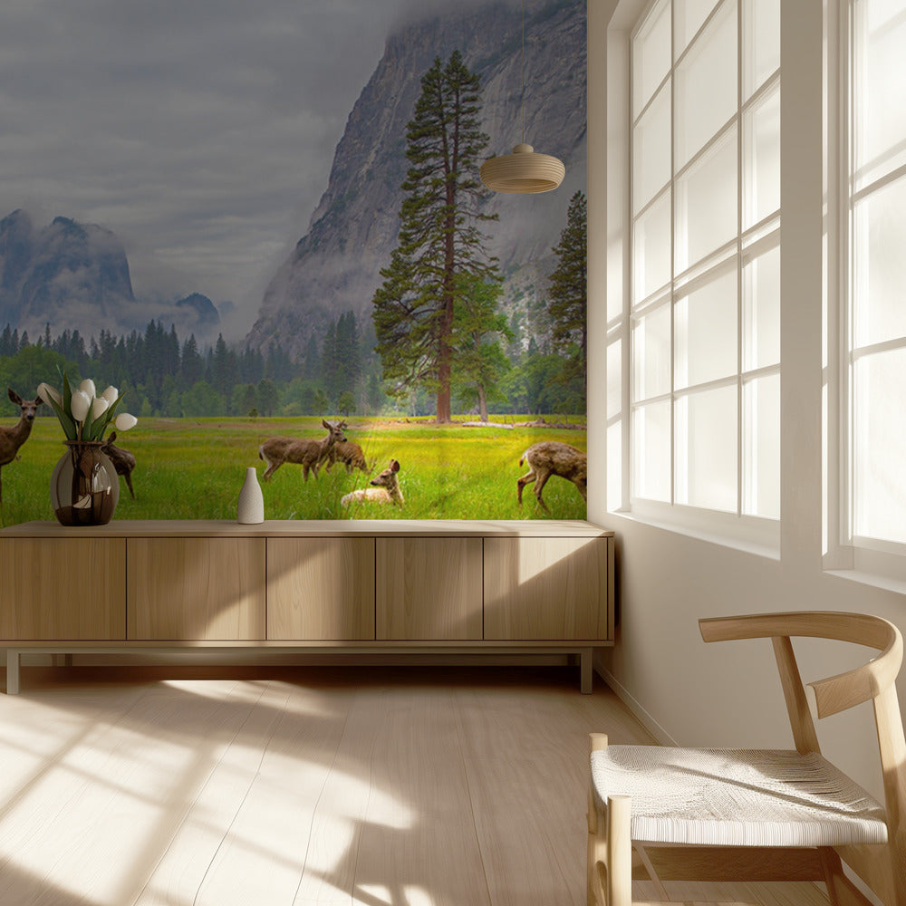 A Feeling of Ancient Time | Wallpaper