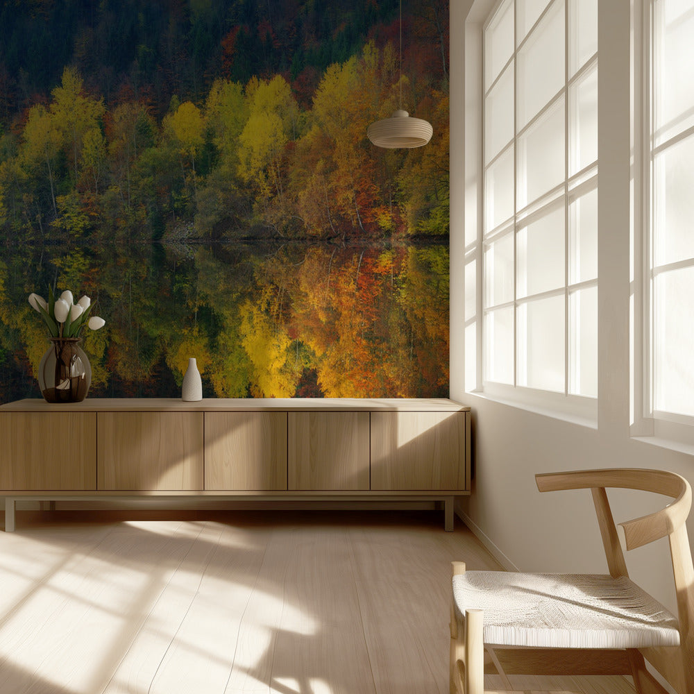 Autumnal silence | Wallpaper