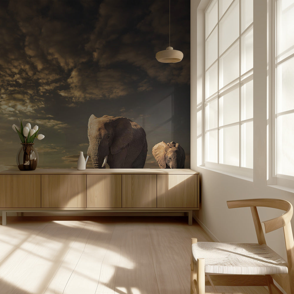 Walking in Savannah | Wallpaper