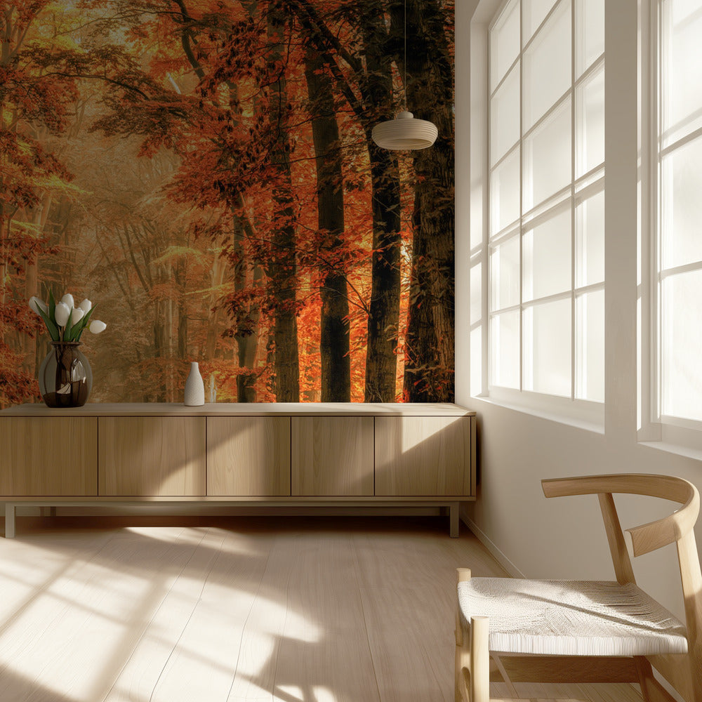 Exit the Portal | Wallpaper