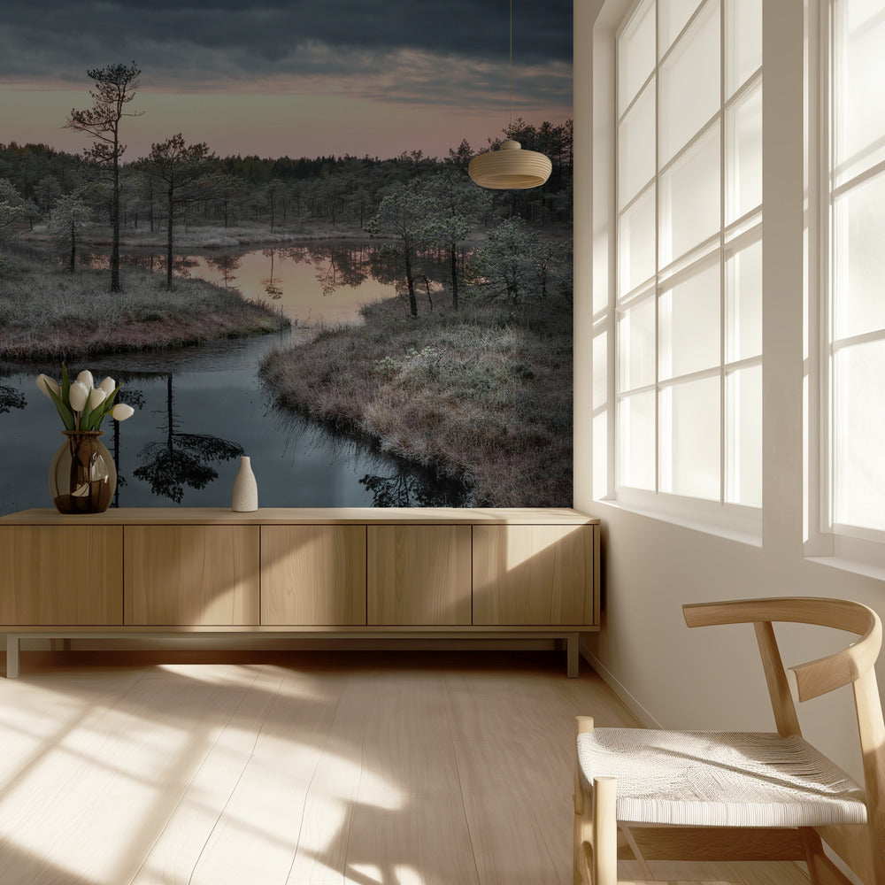 Spilled paint | Wallpaper