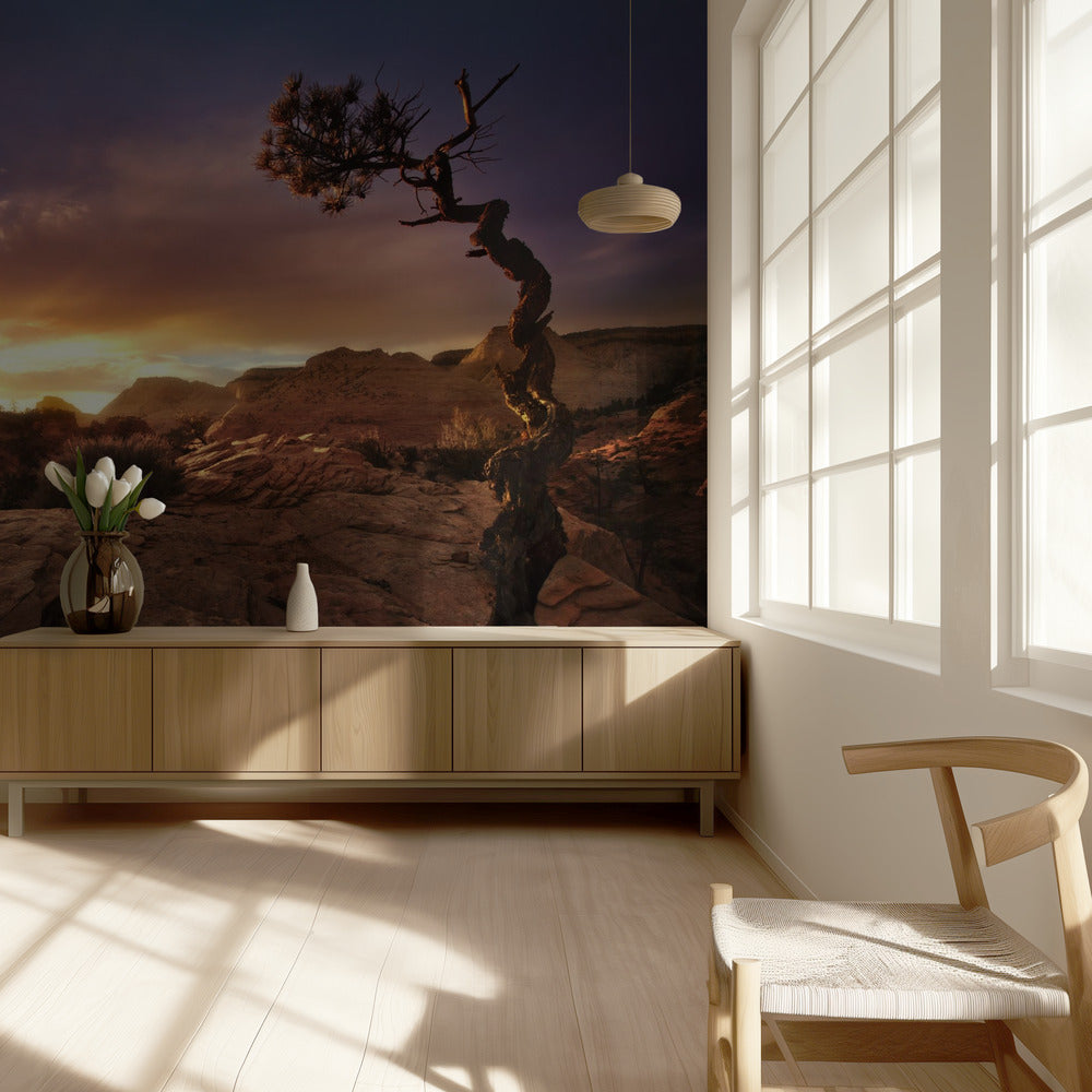 Distorted | Wallpaper