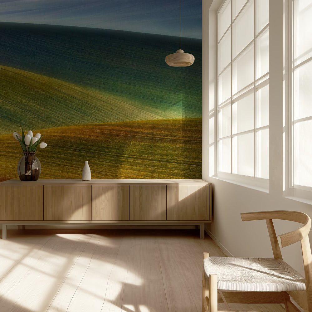 Spring fields | Wallpaper