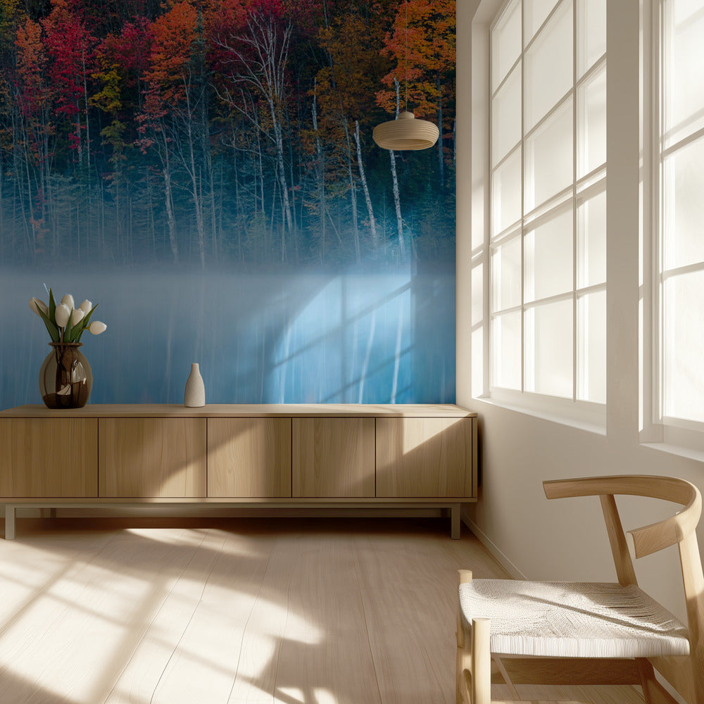 Morning Reflection | Wallpaper