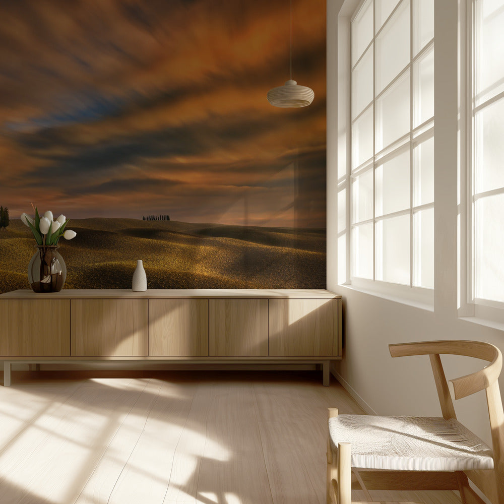 Cypresses... | Wallpaper