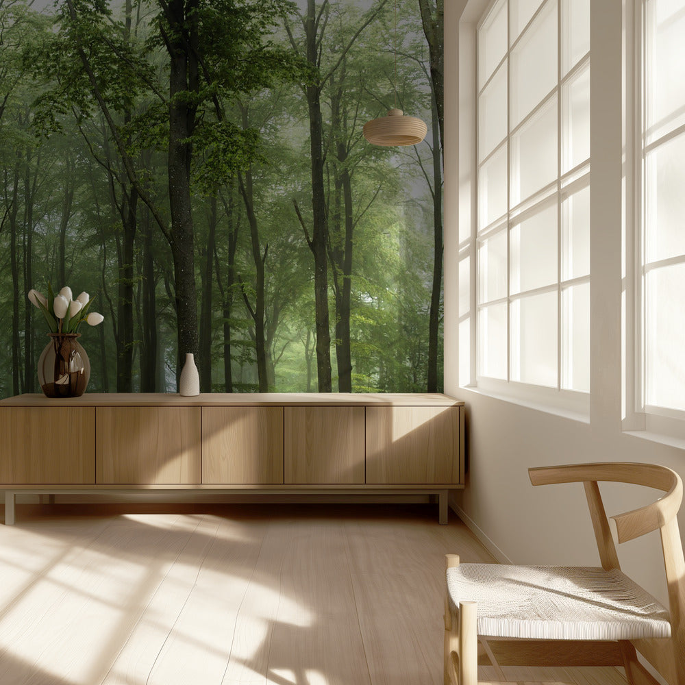 Forest... | Wallpaper