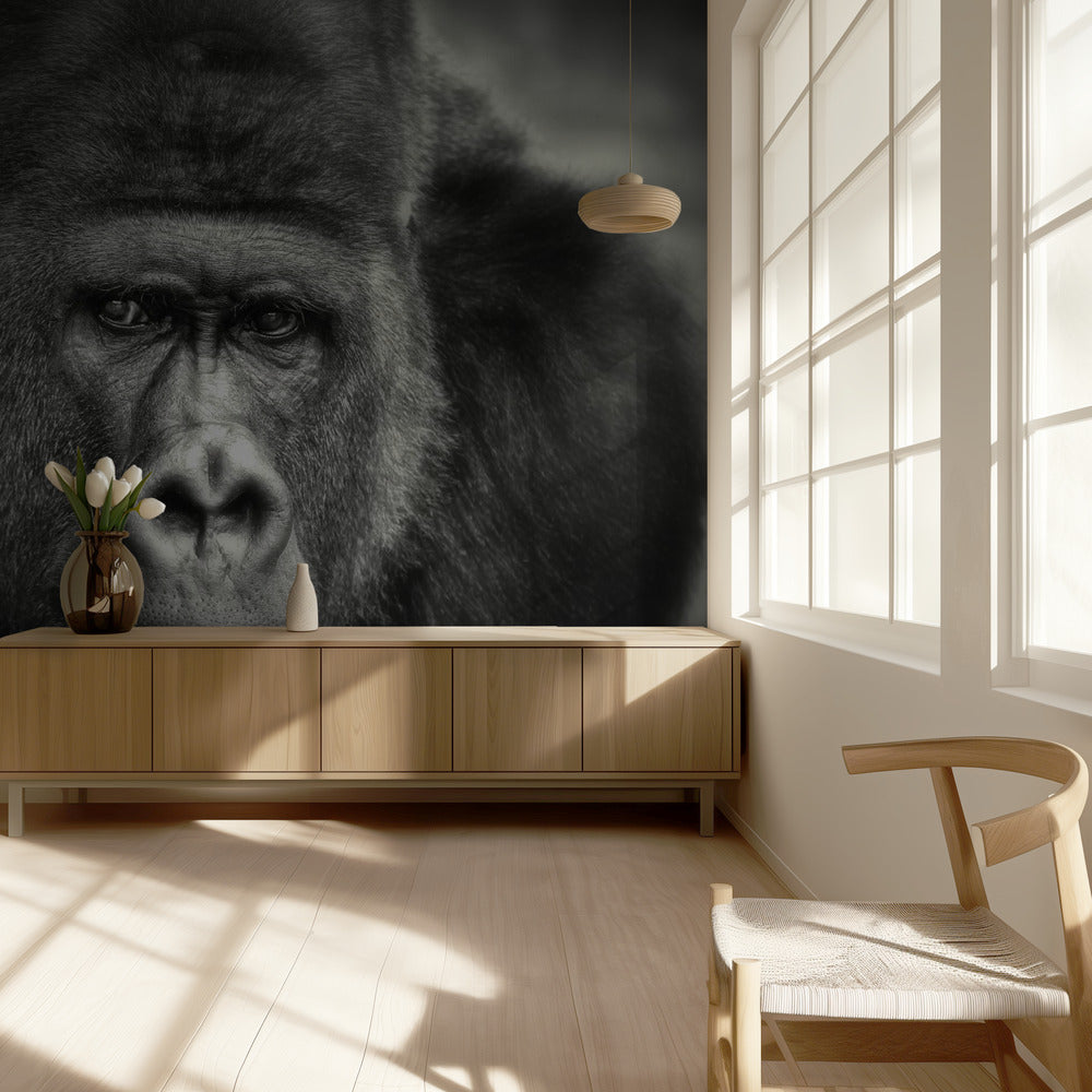 LITTLE SMILE .... | Wallpaper