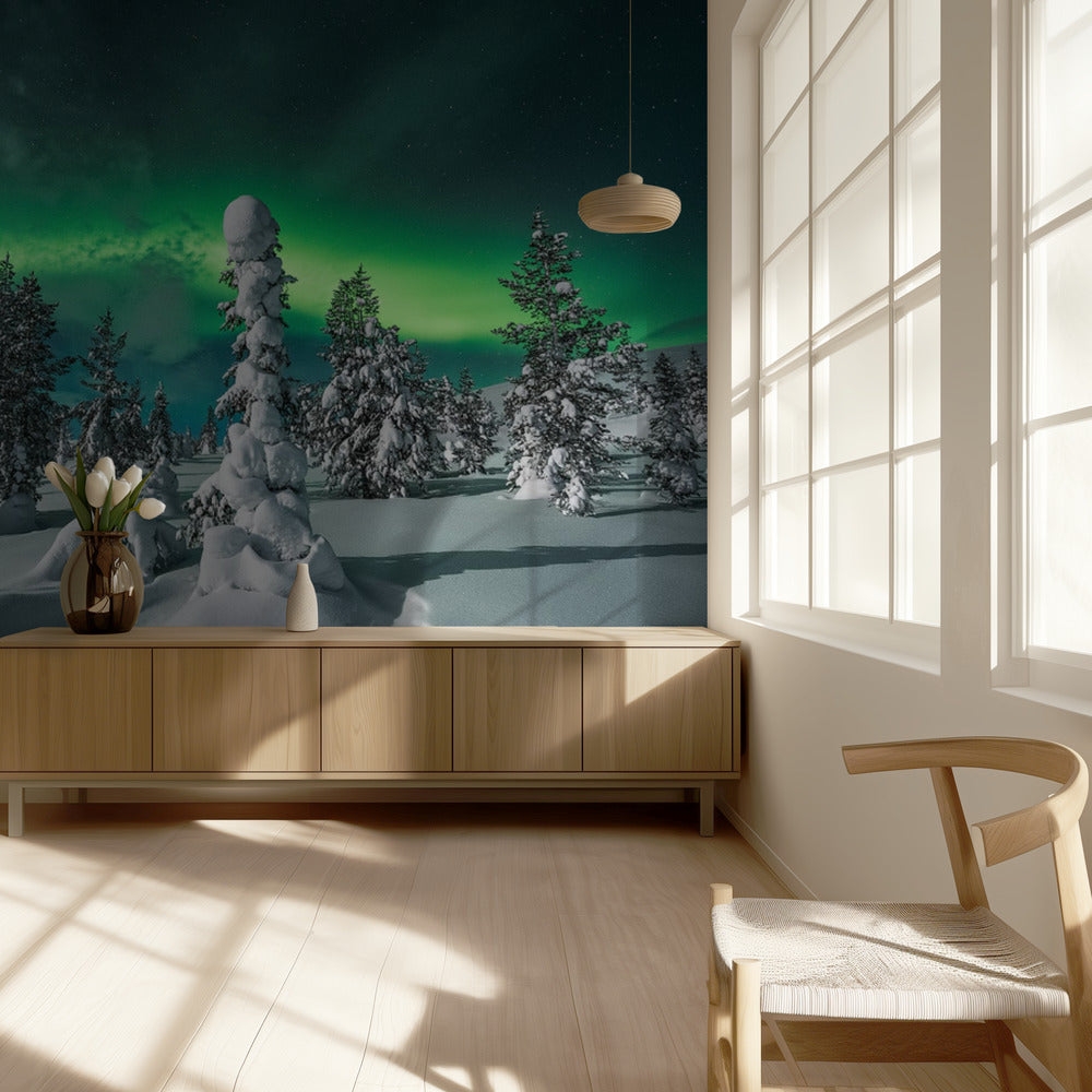 polar night | Wallpaper