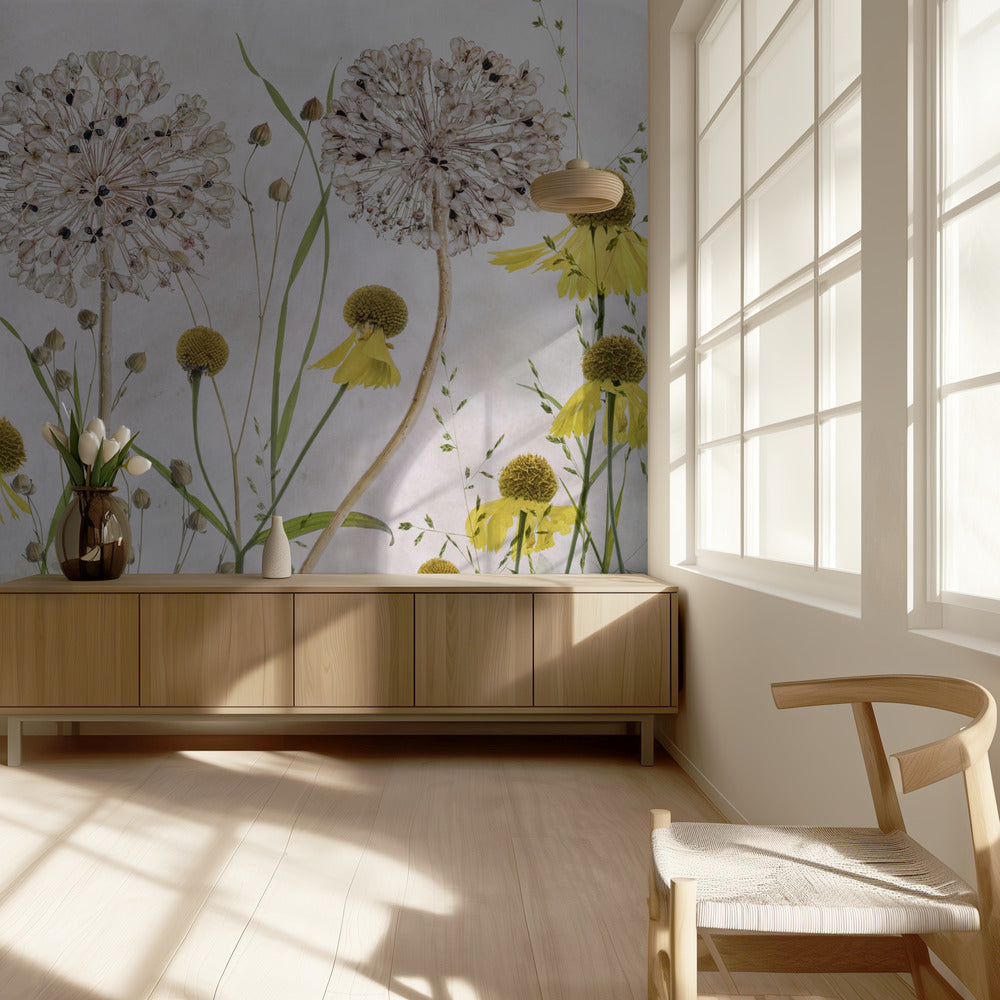 Alliums and heleniums | Wallpaper
